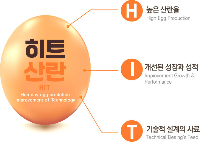 È÷Æ®»ê¶õ(HIT:Hen-day egg production Improvement of Technology). H:³ôÀº »ê¶õÀ²(High Egg Production), I:°³¼±µÈ ¼ºÁ¤°ú ¼ºÀû(Improvement Growth & Performance), T:±â¼úÀû ¼³°èÀÇ »ç·á(Technical Desing's Feed)